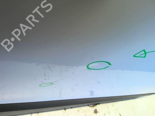 Right front door RENAULT SCÉNIC III (JZ0/1_) 1.5 dCi | BP23965251C3 