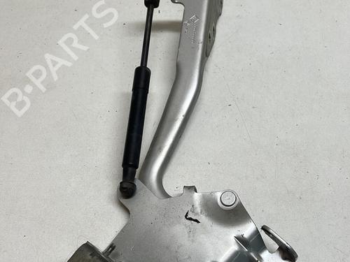 Used Hinge/Door check strap RENAULT SCÉNIC III (JZ0/1_) 1.6 dCi (JZ00, JZ12) (130 hp) 18212659