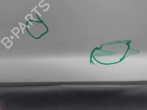 Right front door RENAULT KANGOO Express (FC0/1_) D 65 1.9 (FC0E, FC02, FC0J, FC0N) | BP18218430C3 