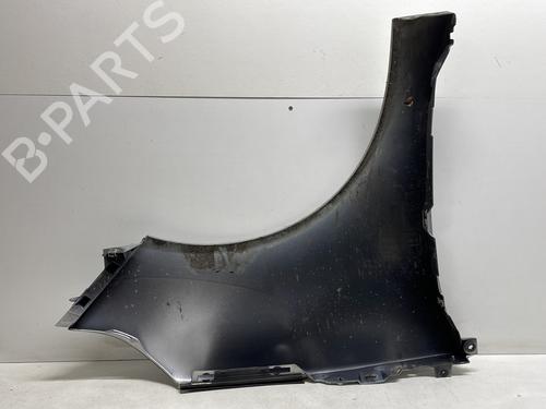 Left front fenders RENAULT SCÉNIC III (JZ0/1_) 1.6 dCi (JZ00, JZ12) | BP23846977C41 