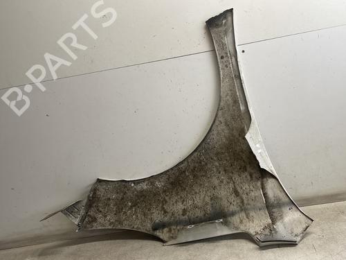 Left front fenders PEUGEOT 207 (WA_, WC_) 1.4 HDi | BP29611748C41 