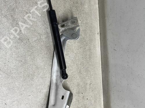 Used Hinge/Door check strap RENAULT KANGOO Express (FW0/1_) 1.5 dCi 90 (FW0G, FW05, FW08, FW11) (90 hp) 29896886