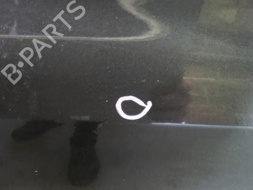 Right front door RENAULT CLIO III (BR0/1, CR0/1) 1.5 dCi (BR17, CR17) | BP29972436C3