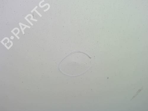 Used Right tailgate Right tailgate FORD TRANSIT CONNECT (P65_, P70_, P80_) 1.8 TDCi (90 hp) 29525240 29525240