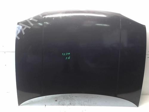 Panser VW GOLF IV (1J1) 1.6 (100 hp) 18224993