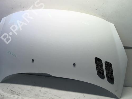 Used Hood PEUGEOT 206+ (2L_, 2M_) 1.4 i (2LKFWA, 2MKFWA) (75 hp) 18210893