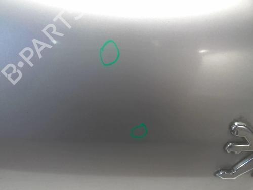 Used Tailgate PEUGEOT 307 (3A/C) 2.0 HDi 90 (90 hp) 18224615