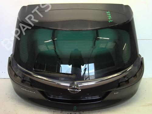 Tailgate OPEL INSIGNIA A Sports Tourer (G09) 2.0 CDTI (35) | BP24495781C6 
