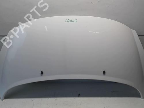 Used Hood PEUGEOT 207 (WA_, WC_) 1.6 HDi (90 hp) 24663751