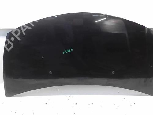 Used Hood RENAULT CLIO III (BR0/1, CR0/1) 1.5 dCi (88 hp) 18211617