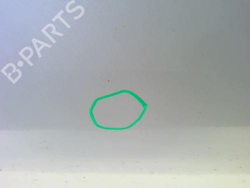 Right front door FIAT PUNTO EVO (199_) 1.3 D Multijet | BP18220177C3