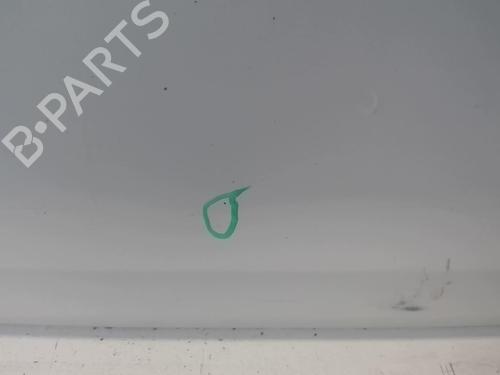 Tailgate FIAT PANDA (169_) 1.3 JTD Multijet 4x4 (169AXG1A, 169AXG2A) | BP18228508C6 