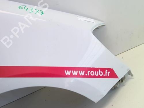 Right front fenders RENAULT CLIO III (BR0/1, CR0/1) 1.5 dCi (C/BR0G, C/BR1G) | BP18213876C42 