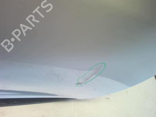 Right front door RENAULT MEGANE III Hatchback (BZ0/1_, B3_) 1.5 dCi (BZ0C) | BP18226618C3