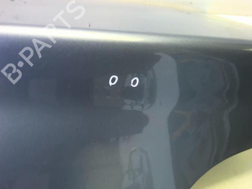 Tailgate PEUGEOT 406 (8B) 2.0 HDI 110 | BP18219908C6 
