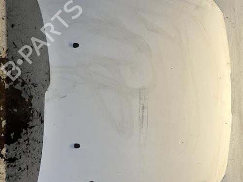 Used Hood PEUGEOT 206 SW (2E/K) 1.4 HDi (68 hp) 29485615