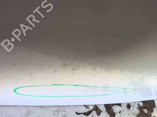 Tailgate RENAULT CLIO IV (BH_) 1.5 dCi 75 | BP29156047C6 