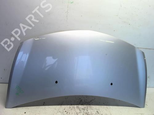 Hood RENAULT CLIO III (BR0/1, CR0/1) 1.5 dCi (C/BR0G, C/BR1G) | BP22654222C1 