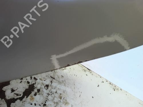 Left rear door RENAULT MODUS / GRAND MODUS (F/JP0_) 1.5 dCi (FP0D, JP0D) | BP29627550C4 