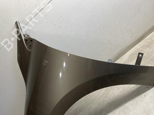 Left front fenders RENAULT MEGANE III Hatchback (BZ0/1_, B3_) 1.2 TCe (BZ2B, BZ11) | BP27322424C41 