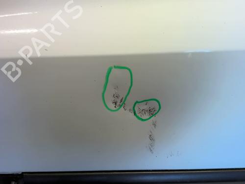 Left front door RENAULT CLIO III (BR0/1, CR0/1) 1.5 dCi | BP23968038C2 