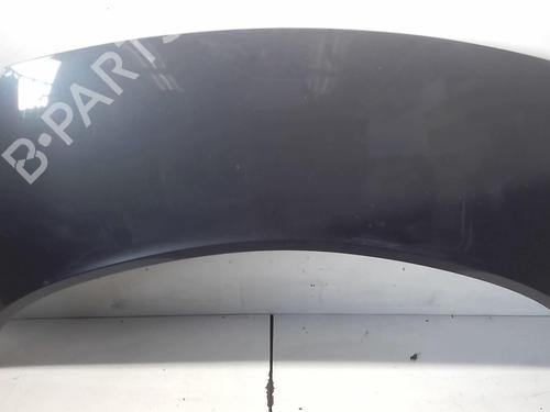 Capot RENAULT SCÉNIC II (JM0/1_) 1.5 dCi (JM1E, JM16) (106 hp) 18221237