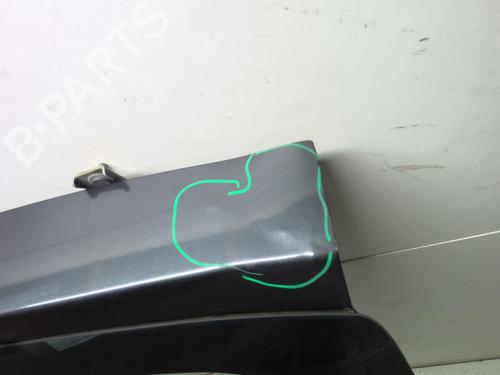 Tailgate DACIA SANDERO 1.2 16V | BP18209733C6 