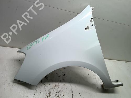 Left front fenders RENAULT CLIO III (BR0/1, CR0/1) 1.5 dCi (C/BR0G, C/BR1G) | BP18229910C41