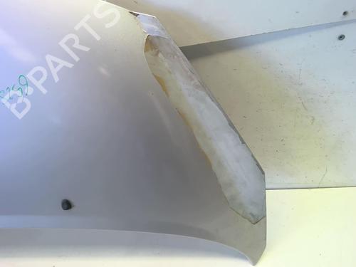 Used Hood PEUGEOT 207 (WA_, WC_) 1.6 HDi (90 hp) 18217150