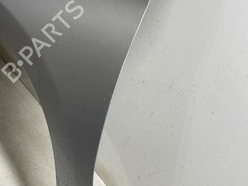 Left front fenders CITROËN C4 II (NC_) 1.6 HDi 115 | BP26496663C41 