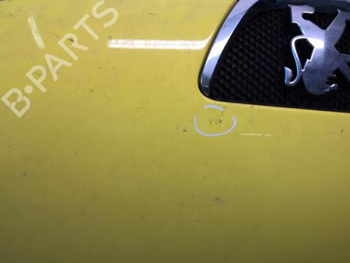 Hood PEUGEOT 107 (PM_, PN_) 1.4 HDi | BP18208293C1