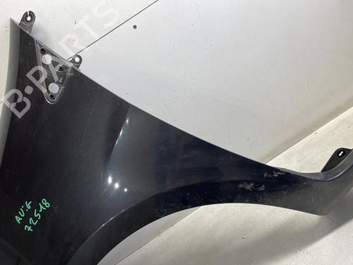 Left front fenders RENAULT CLIO III (BR0/1, CR0/1) 1.2 16V Hi-Flex (BR1U, CR1U) | BP25407849C41 