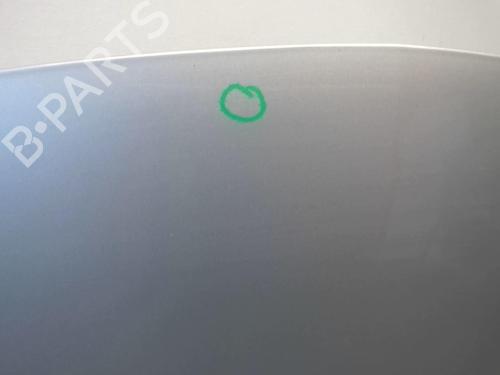 Used Hood RENAULT CLIO III (BR0/1, CR0/1) 1.5 dCi (C/BR0G, C/BR1G) (68 hp) 18208651