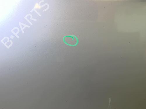 Tailgate OPEL MERIVA A MPV (X03) 1.7 CDTI (E75) | BP18231237C6 