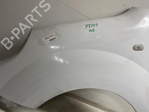 Left front fenders RENAULT KANGOO Express (FW0/1_) 1.5 dCi 90 (FW0G, FW05, FW08, FW11) | BP29744579C41 