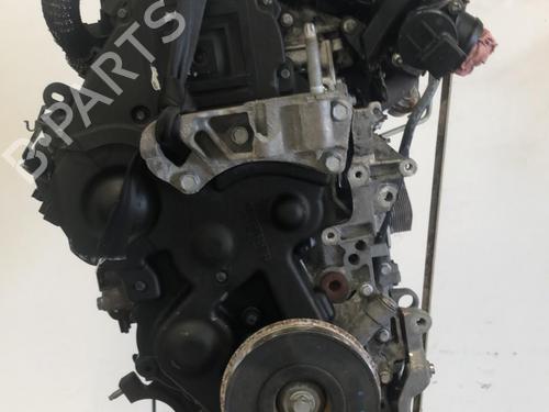 Used Engine FORD C-MAX (DM2) 1.6 TDCi (90 hp) 18207702