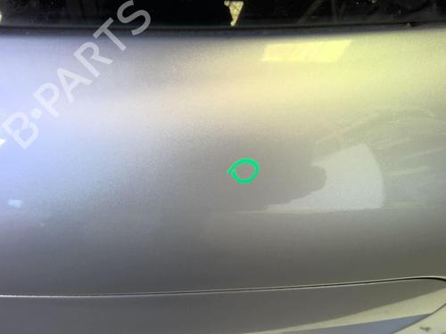 Used Tailgate PEUGEOT 207 (WA_, WC_) 1.6 HDi (90 hp) 18231098
