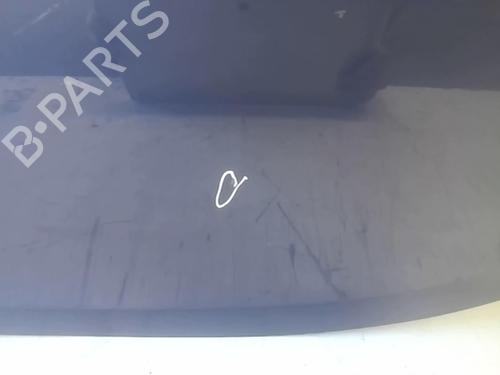 Left rear door RENAULT CLIO III Grandtour (KR0/1_) 1.5 dCi (KR0F) | BP18214280C4