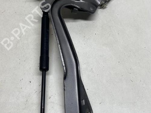 Charnière/Limiteur de porte RENAULT GRAND SCÉNIC III (JZ0/1_) 1.9 dCi (JZ0J, JZ0N, JZ1K, JZ1S) (131 hp) 18216094