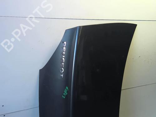 Tailgate PEUGEOT 406 Coupe (8C) 2.0 16V | BP18232274C6 