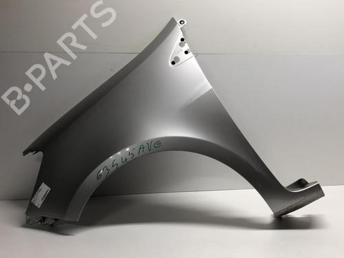 Left front fenders RENAULT CLIO III (BR0/1, CR0/1) 1.5 dCi (C/BR0G, C/BR1G) | BP18214229C41