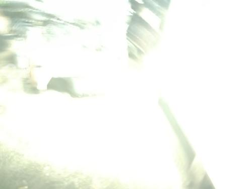 Engine PEUGEOT 308 SW I (4E_, 4H_) 2.0 HDi | BP31063490M1