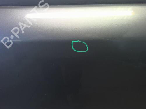 Used Left front door NISSAN NOTE (E11, NE11) 1.4 (88 hp) 18216689