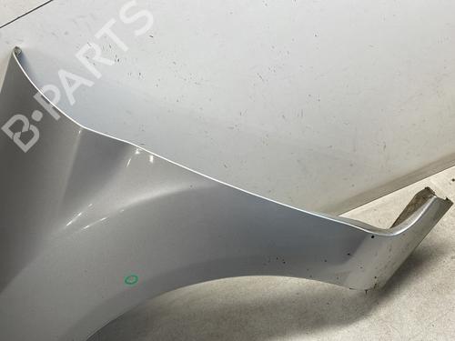 Left front fenders FORD FIESTA VI (CB1, CCN) 1.4 TDCi | BP27162044C41 