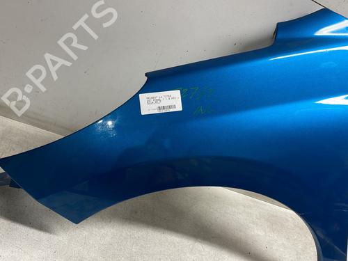 Left front fenders PEUGEOT 207 (WA_, WC_) 1.6 HDi | BP29174121C41 