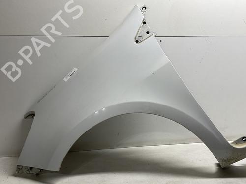 Used Left front fenders RENAULT CLIO III (BR0/1, CR0/1) 1.5 dCi (C/BR0G, C/BR1G) (68 hp) 24032487