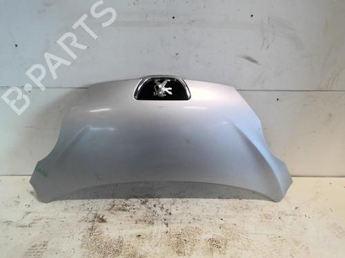 BP30817390C1 main image