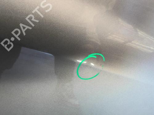 Right front door RENAULT CLIO III (BR0/1, CR0/1) 1.5 dCi (BR17, CR17) | BP24590372C3 