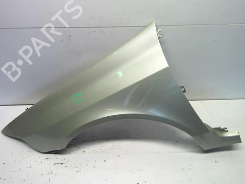 Left front fenders RENAULT LAGUNA II (BG0/1_) 2.2 dCi (BG0F) | BP18219497C41 