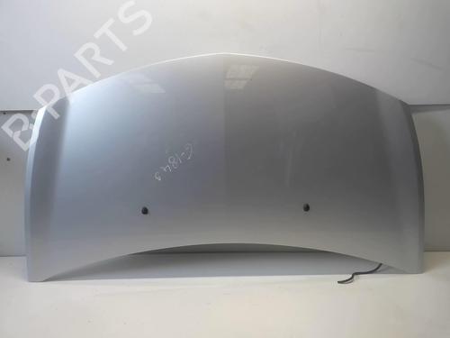 Used Hood RENAULT CLIO III (BR0/1, CR0/1) 1.5 dCi (C/BR0G, C/BR1G) (68 hp) 18211118